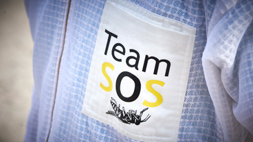 SOS hvepse logo